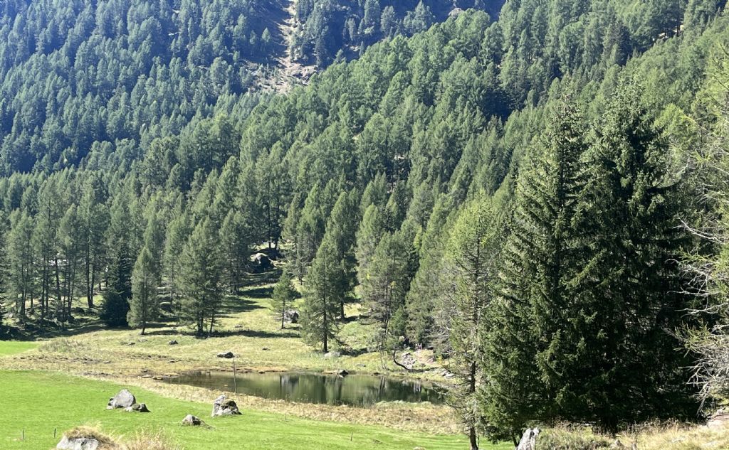Laghi.......del TRENTINO